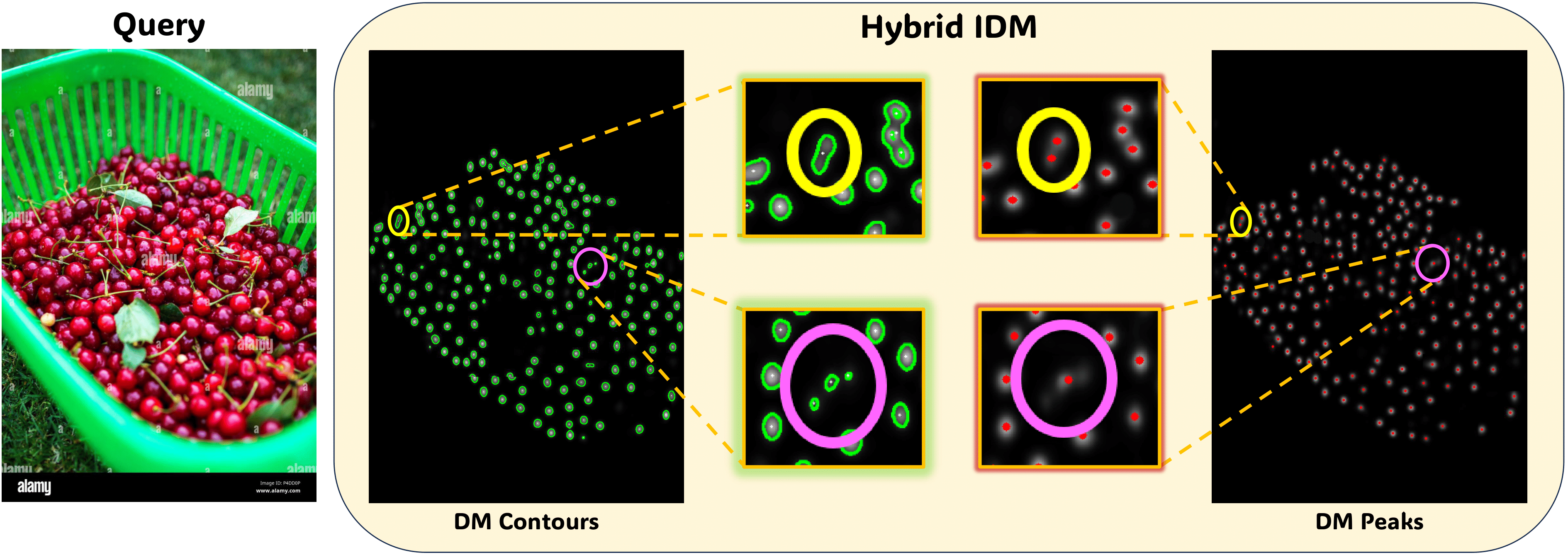 Hybrid Instance Detection Module